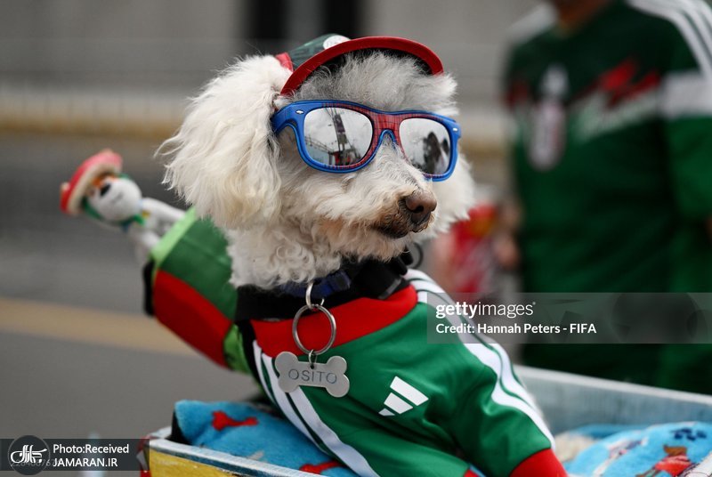 عکس جام جهانی ۲۰۲۶