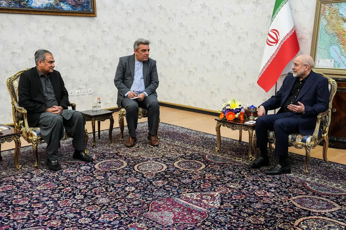 دیدار وزیر کشور پاکستان با رئیس مجلس