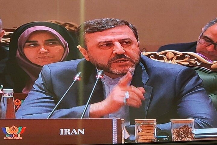 کاظم غریب آبادی معاون وزیر خارجه در نشست بریکس