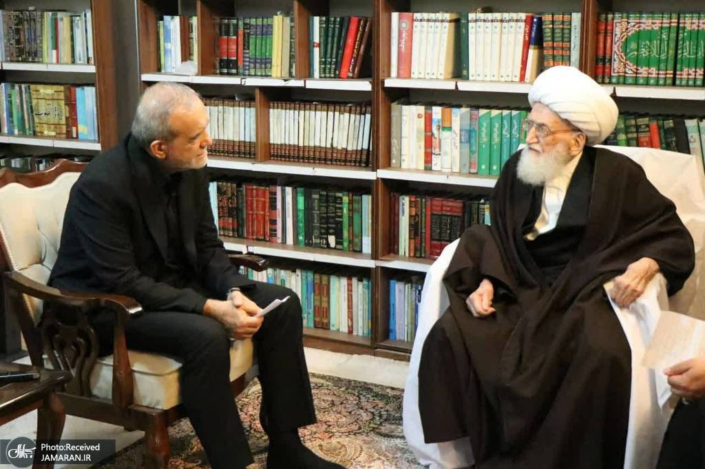 آیت‌الله العظمی نوری همدانی در دیدار پزشکیان (5)
