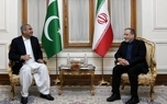 رایزنی وزیر کشور پاکستان با عراقچی در تهران