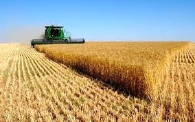 اختصاص12 میلیارد ریال تسهیلات یارانه‌دار برای اجرای طرح کشاورزی حفاظتی در زنجان