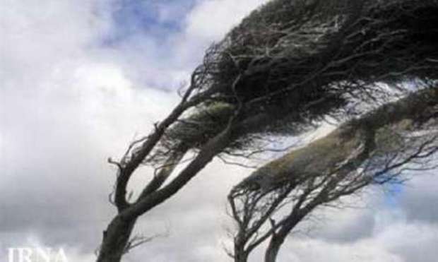 وزش باد برق 8 روستای اسفراین را قطع کرد