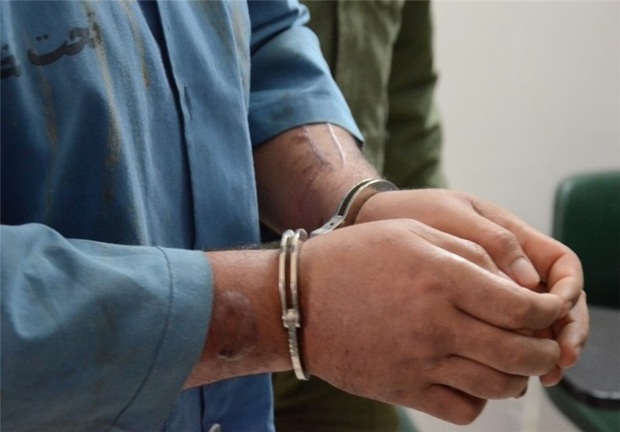 سارق حرفه ای اندیمشکی در پلدختر دستگیر شد