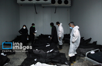 شناسایی شهدای دبستان میناب (7)