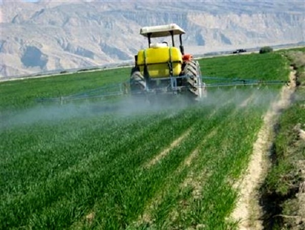 کردستان پیشرو در مبارزه با سن مضر غلات  اطمینان خاطر از تولید گندم سالم در استان