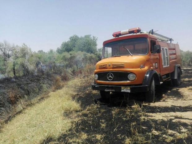 یک هکتار از پارک ملی کرخه به آتش کشیده شد