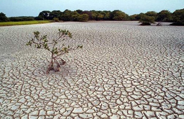 خشکسالی در شش استان زاگرس‌نشین کشور  کاهش شدید باران در جنوب غربی کشور در سال زراعی96