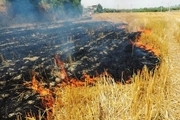 آتش‌سوزی پنج میلیارد به کشاورزان ایذه خسارت زد