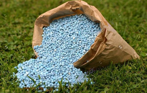 بحران کود شیمیایی در پی بسته شدن تنگه هرمز/ استرالیا مساحت کشت گندم را کاهش داد