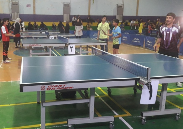رقابت های همگانی تنیس روی میز  استان بوشهر در گناوه برگزار شد