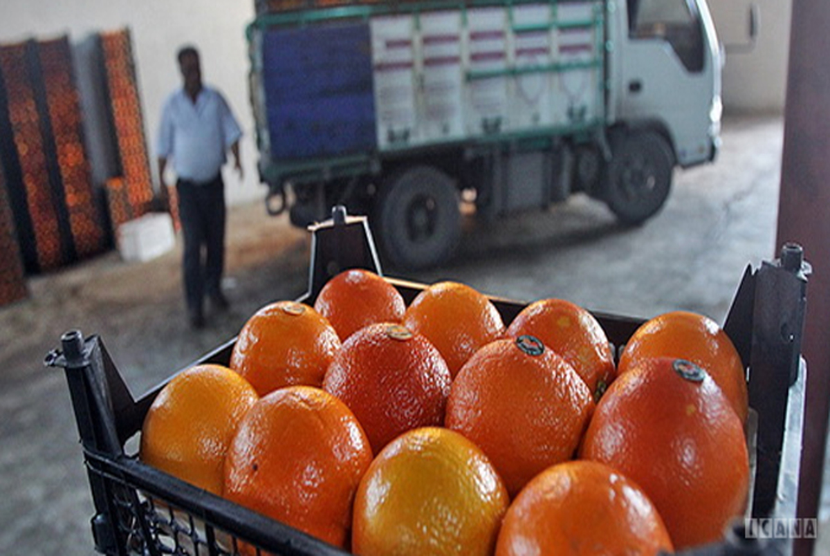 ورود پرتقال‌های رنگ شده به بازار