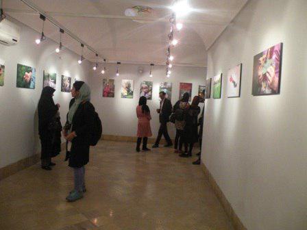 پایان کار نمایشگاه عکس مدرسه طبیعت در استان یزد