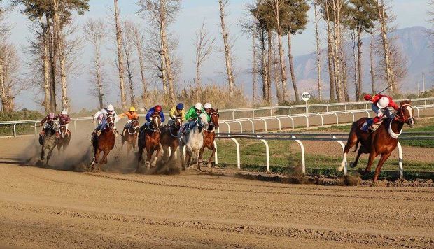 رقابت ۶۴ راس اسب در روز دوم هفته دوازدهم مسابقات اسبدوانی گنبد