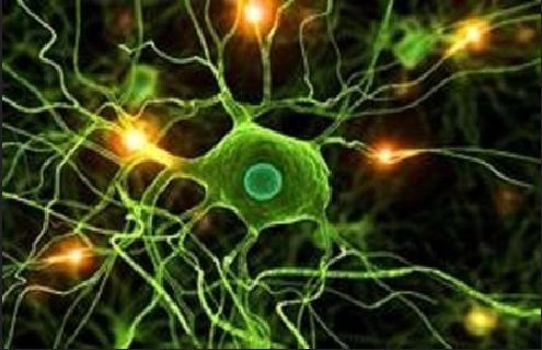 تلاش محققان برای ارائه راهکارهای درمانی اعتیاد با کمک ورزش

