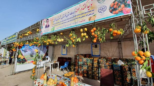 خوزستان قابلیت تبدیل به قطب تولید محصولات ارگانیگ را دارد