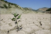 خسارت خشکسالی به کشاورزی و محیط زیست گناباد