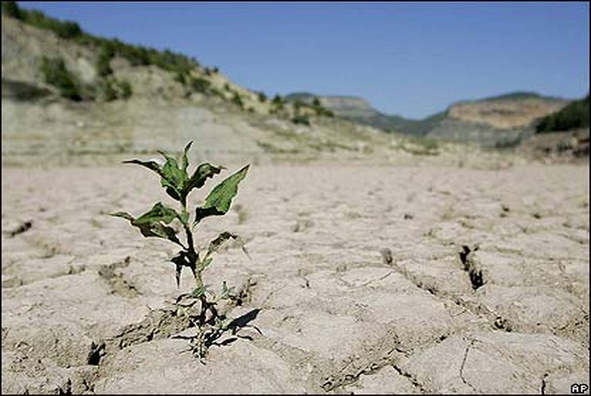  ۹۵ درصد مساحت کشور دچار خشکسالی است/ عکس