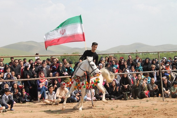 جشنواره زیبایی اسب اصیل کرد در کنگاور برگزار شد