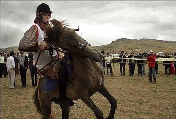 تخصیص تسهیلات ۳ میلیاردی برای خرید و پرورش اسب اصیل ترکمن در خراسان شمالی