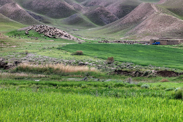 اجرای عملیات بیولوژیک مرتعداری در کردستان آغاز شد