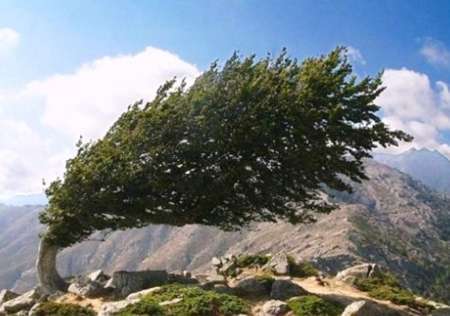 سرعت باد در استان سمنان به 87 کیلومتر بر ساعت رسید