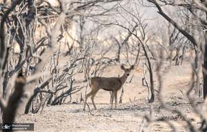 منتخب تصاویر امروز جهان- 1 مهر