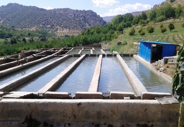 افتتاح بدون بهره برداری