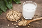 یافته های جدید در مورد شیر سویا