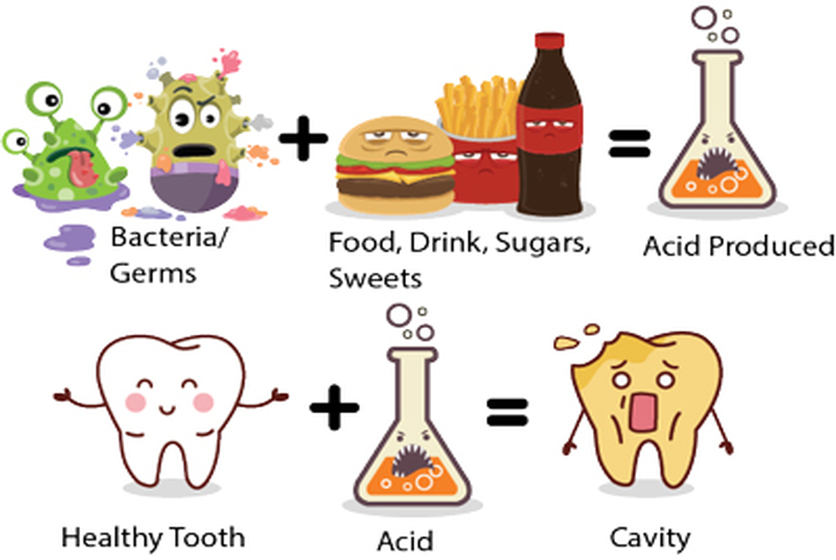 خوردن این غذاها از پوسیدگی دندان جلوگیری می کند