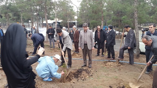 طرح کاشت 100 هزار اصله نهال رایگان میوه در جنوب تهران آغاز شد