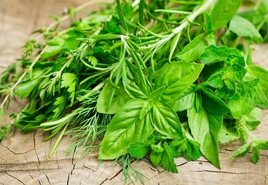 برگزاری چهارمین جشنواره و نمایشگاه گیاهان دارویی