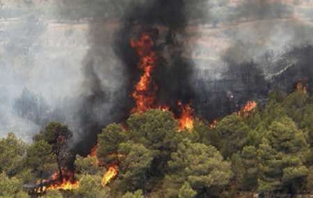 سطح آتش سوزی درعرصه های طبیعی کشور 60 درصد کاهش یافت