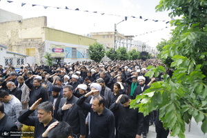 دسته عزاداری روز شهادت امام جعفر صادق (ع) با حضور آیت الله العظمی وحید خراسانی