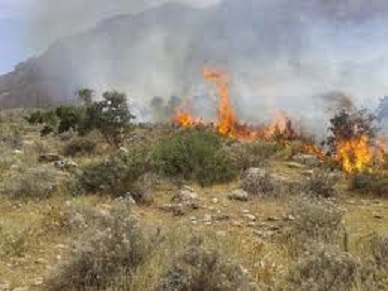 25 هکتار ازمراتع روستای پتک جلالی باغملک در آتش سوخت