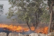 آتش‌سوزی 2 هکتار از جنگل‌های‌رضوانشهر گیلان  ادامه تلاش‌ها برای مهار آتش دشت دامن