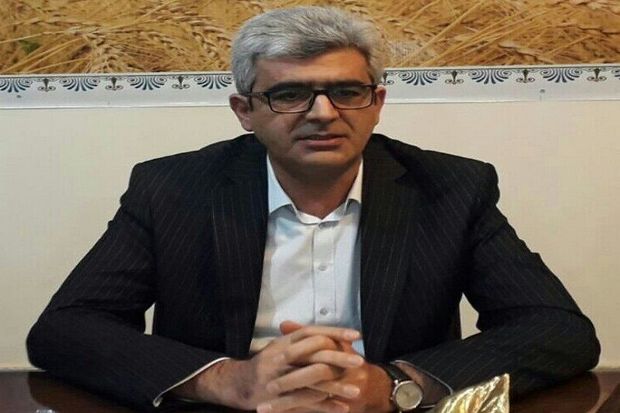 صندوق‌های بیمه کشاورزی سلیقه‌ای عمل می‌کنند