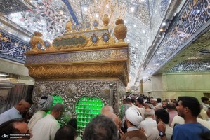 شب میلاد امام دضا (ع) در کربلا