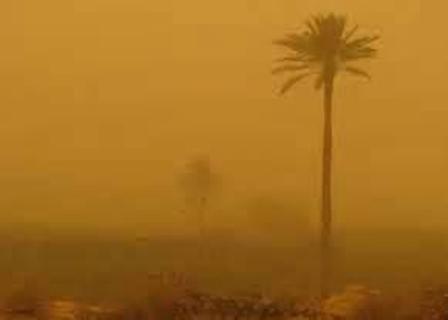 مدیرکل محیط زیست خوزستان: مقابله با ریزگردها منوط به مدیریت آب و سرزمین است