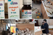 پلمب محل تولید و عرضه داروی تقلبی ضد کرونا در تهران 