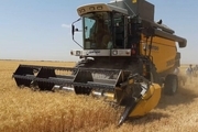 تولید گندم در اصفهان بیش از 2 برابر شد