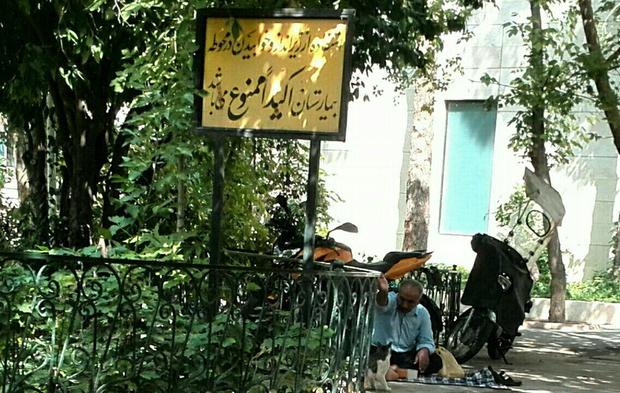ظرفیت کم و تقاضای بسیار برای اقامتگاه های همراهان بیمار در شیراز