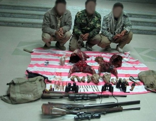 سه شکارچی غیرمجاز در خراسان جنوبی دستگیر شدند