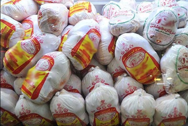 ۶۵۰ هزار قطعه مرغ وارد بازار چهارمحال و بختیاری می شود