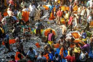 منتخب تصاویر امروز جهان- 28 شهریور