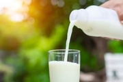 توقف صادرات شیرخشک قیمت لبنیات را تا 30درصد افزایش می دهد
