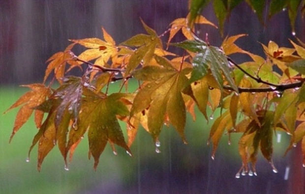 پاییز با 8 درصد افزایش بارندگی از مازنی ها خداحافظی کرد