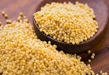 کسانی که سنگ مثانه دارند لب به این گیاه نزنند!
