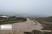 سقوط در کانال آب و تخریب زیرساخت ها نتیجه سیلاب در ایلام