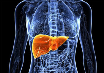 ترفندهایی طبیعی برای درمان فوری کبد چرب